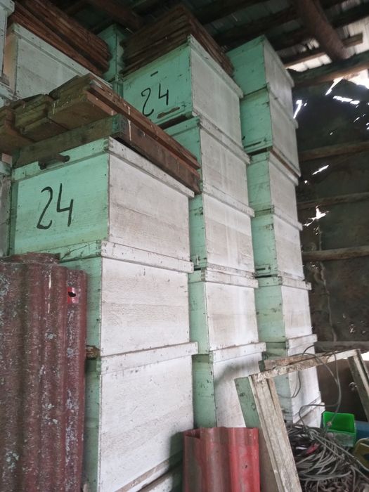 Lăzi stupi de vânzare