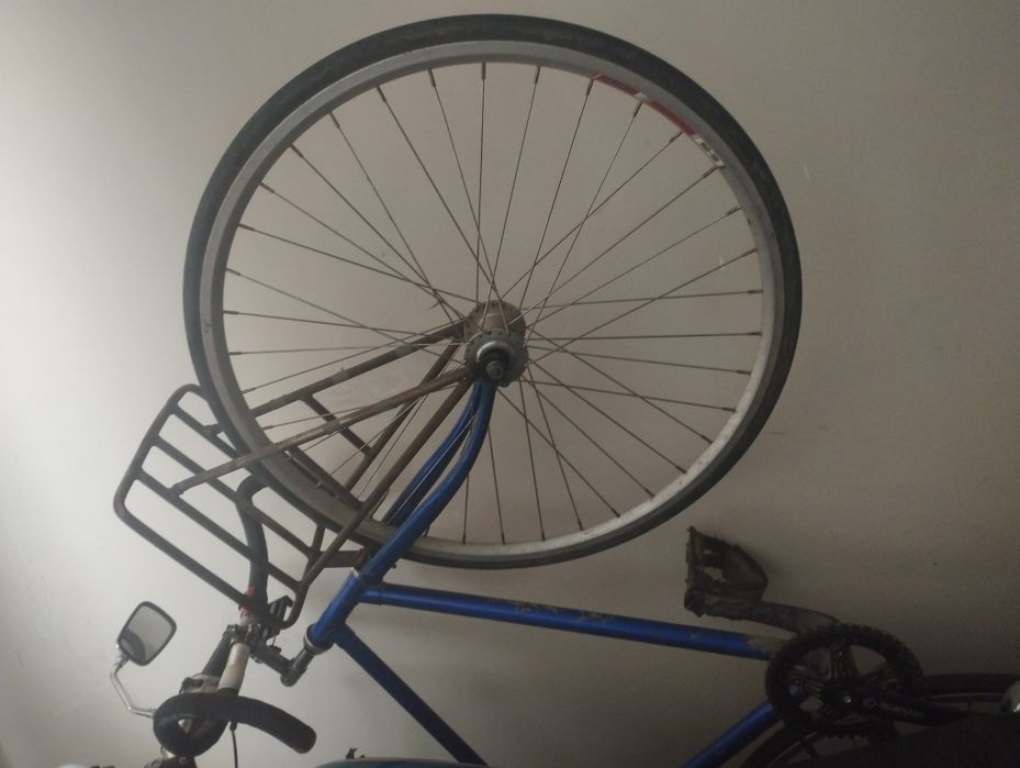 Fixed Gera Mosso
