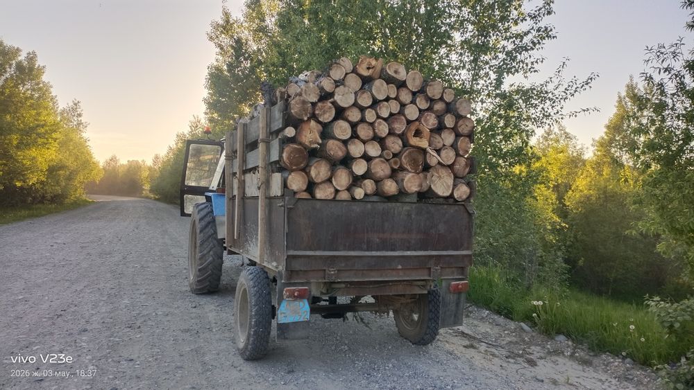 Продам дрова чурками и долгатём .
