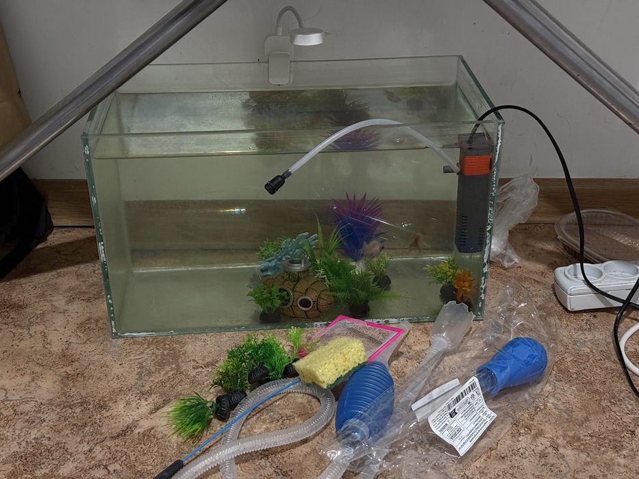 Ештене коймаймын