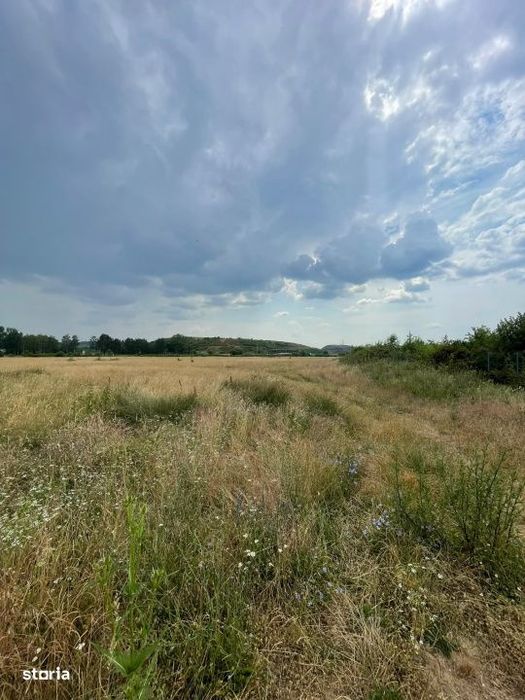 Teren ideal pentru investitie – 88 ari intravilan, front stradal 62