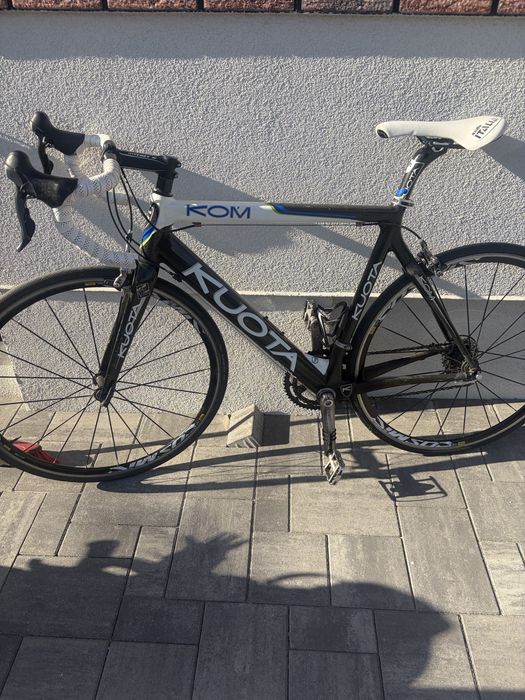 Cursiera carbon.