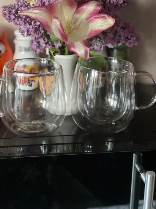 Set de doua cani din sticla transparenta