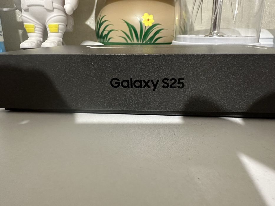 Samsung S 25 256 GB