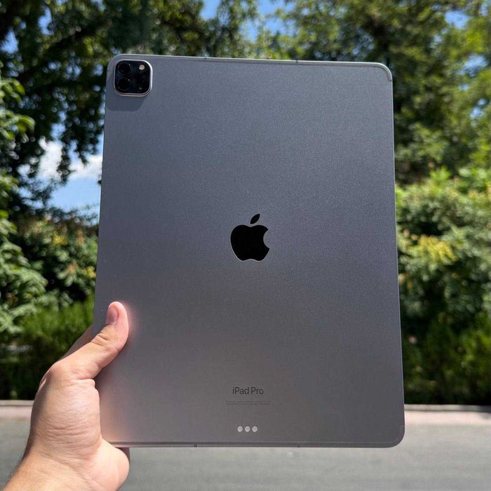 iPad Pro 12.9-inch 256GB  Space Gray Wi-Fi + Cellula