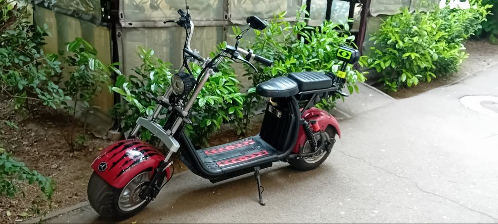 Moped electric 2024