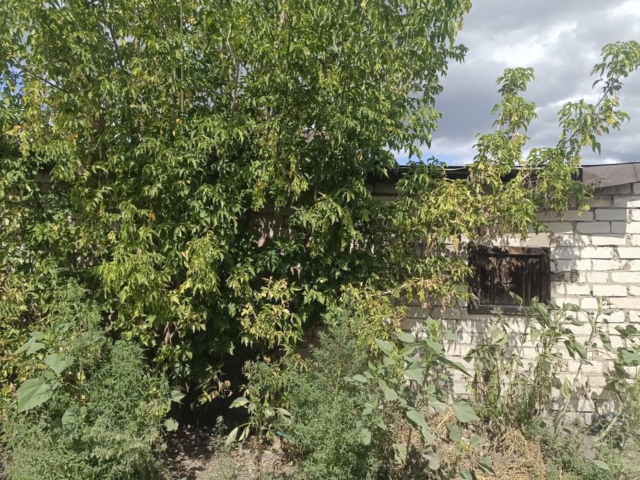 Продам дачный участок 3 дачи!