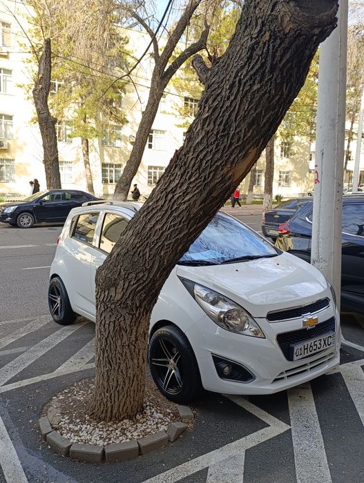 R15 Ideal Mers Diska vossen