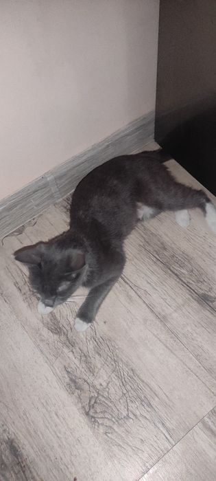 Mukushlar ona va 5ta bola