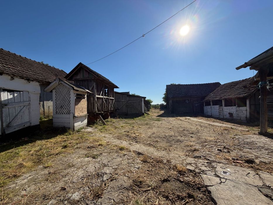 Casa de vanzare in satul Vasad, comuna Curtuiseni