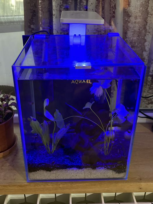 Acvariu echipat
