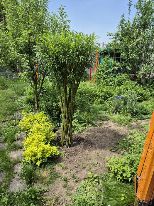 Продажа дачи в Талгарское направлении