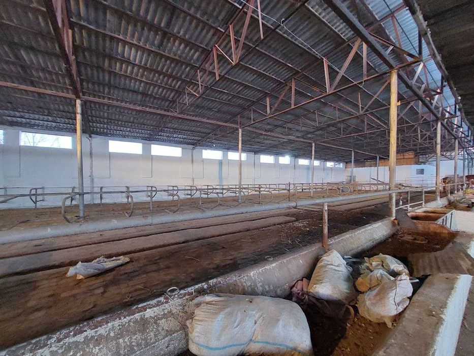 Недвижимость продажа