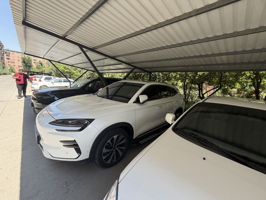Byd chempion honnor