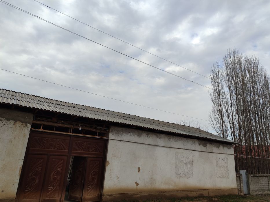 Chinoz tumani Isloxot MFY da xovli sotiladi.Narxi kelishiladi