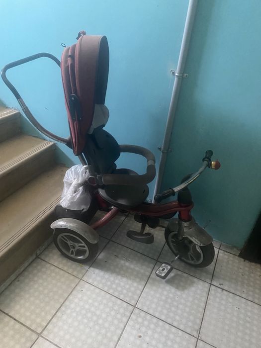 Отдам бесплатно  ………….