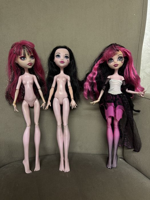 Дракулаура куколка