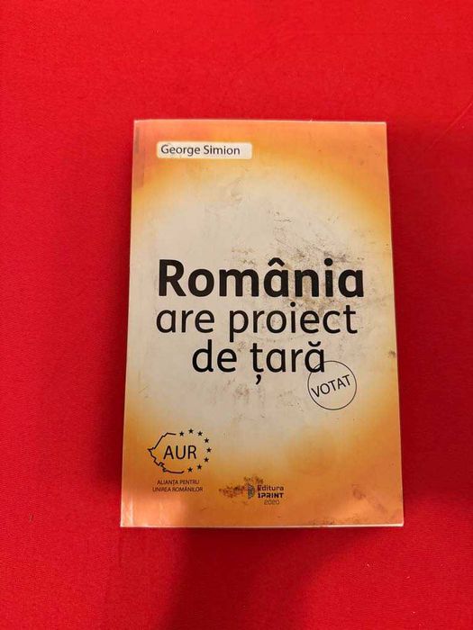 Romania are proiect de tara - George Simion
