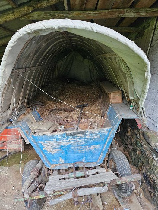 Vand trăsură (Coce)