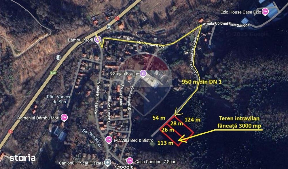 Teren intravilan, 3000 mp, Dâmbu Morii