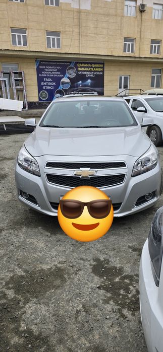 Malubu 2podissa luki bor