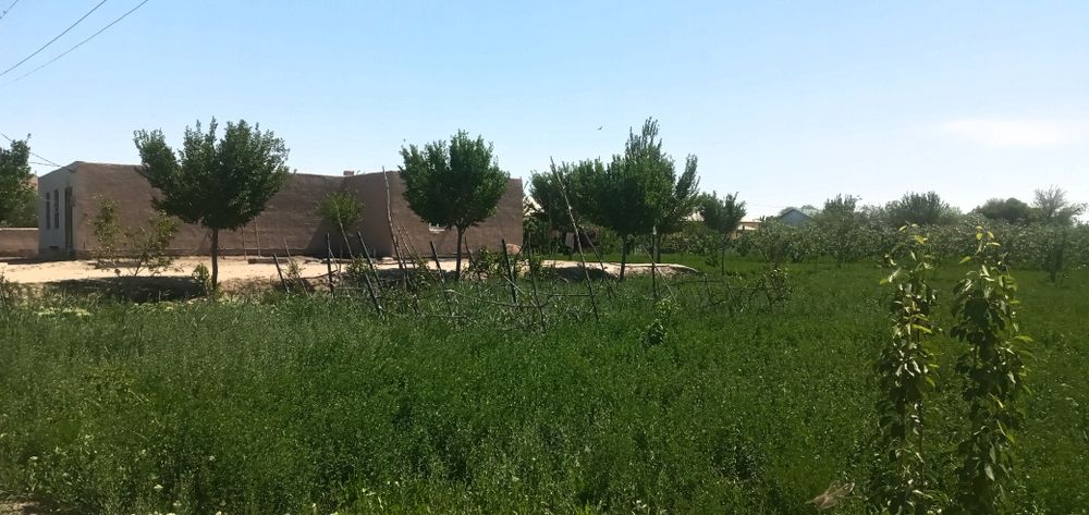 Uy Sotiladi !!! Narxi 800 miliyon kelishiladi