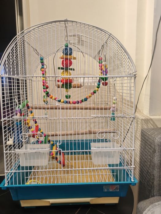 Colivie complet echipata peruși papagali