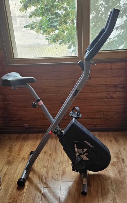 Bicicleta fitness Lifegear