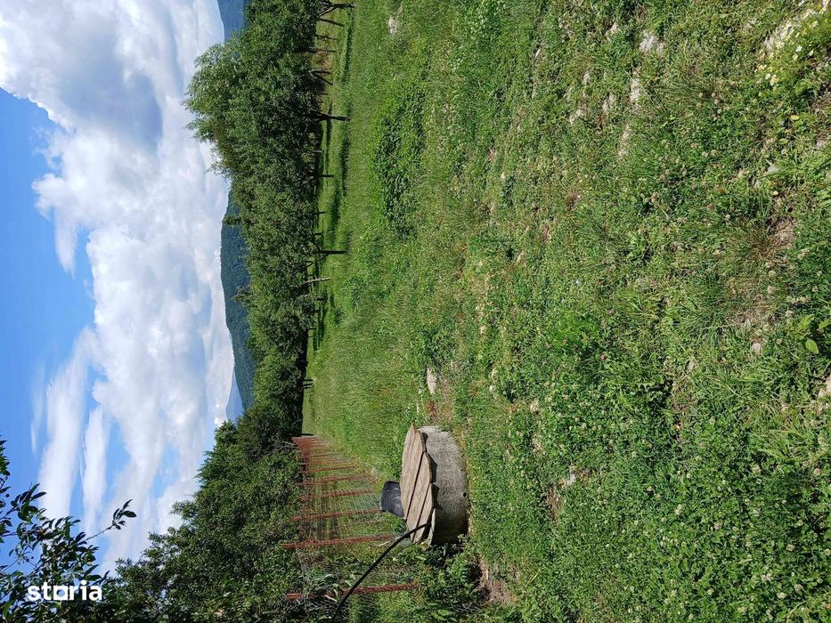 Teren intravilan de vânzare, 6719mp, rural