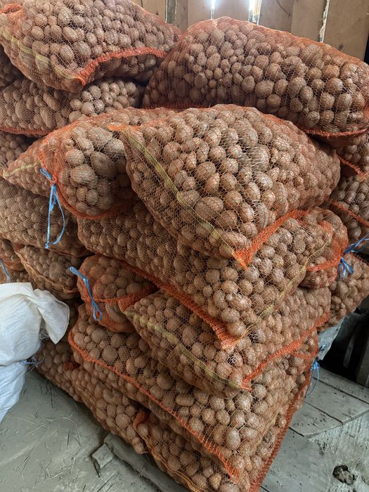 Cartofi de consum,samanta,animale