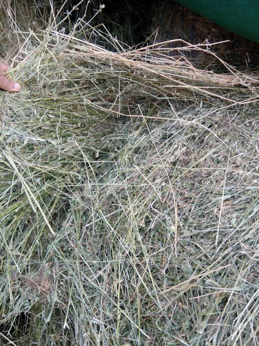 Vand baloti de lucerna