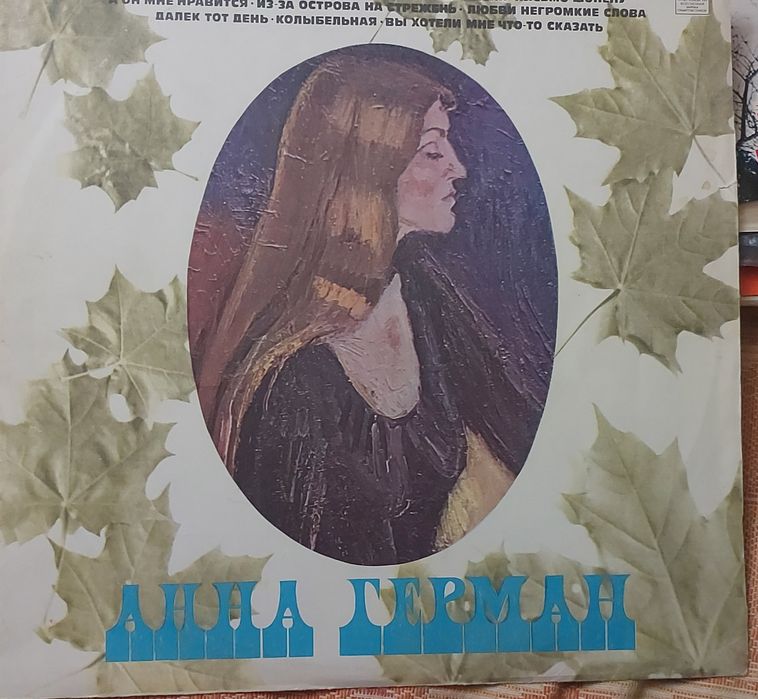 Пластинки виниловые и много других