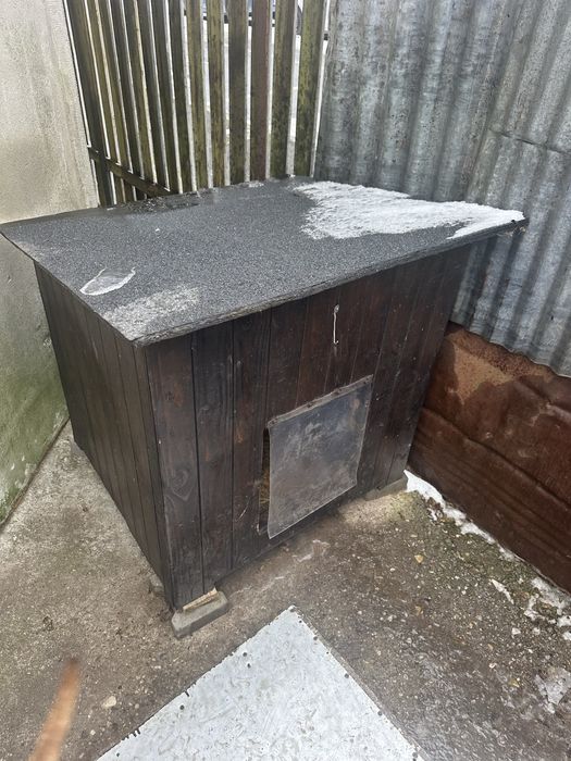 Cotet / cusca caine talie medie izolat