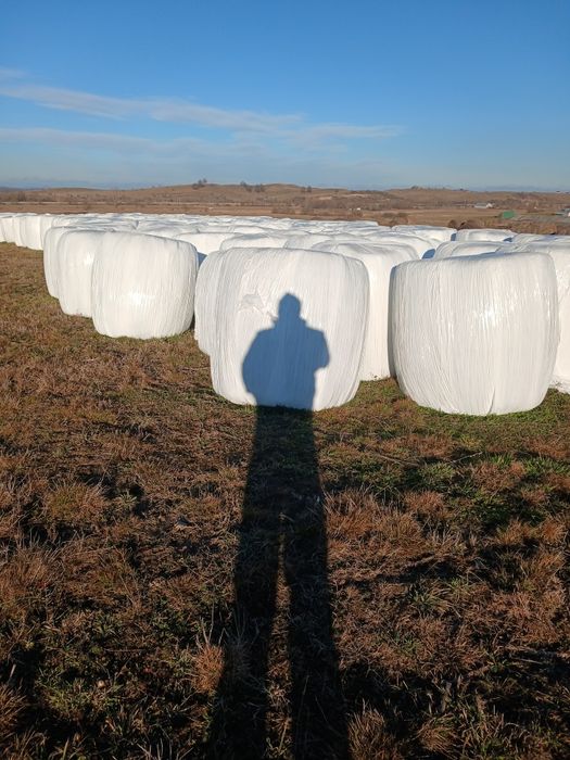 Vand baloti infoliati de fan ,semifan