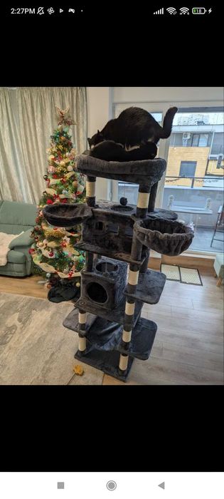 Катерушка за котки