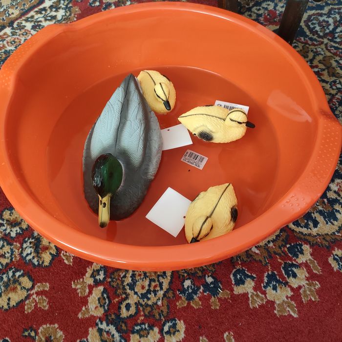 Плаваща патица мюре