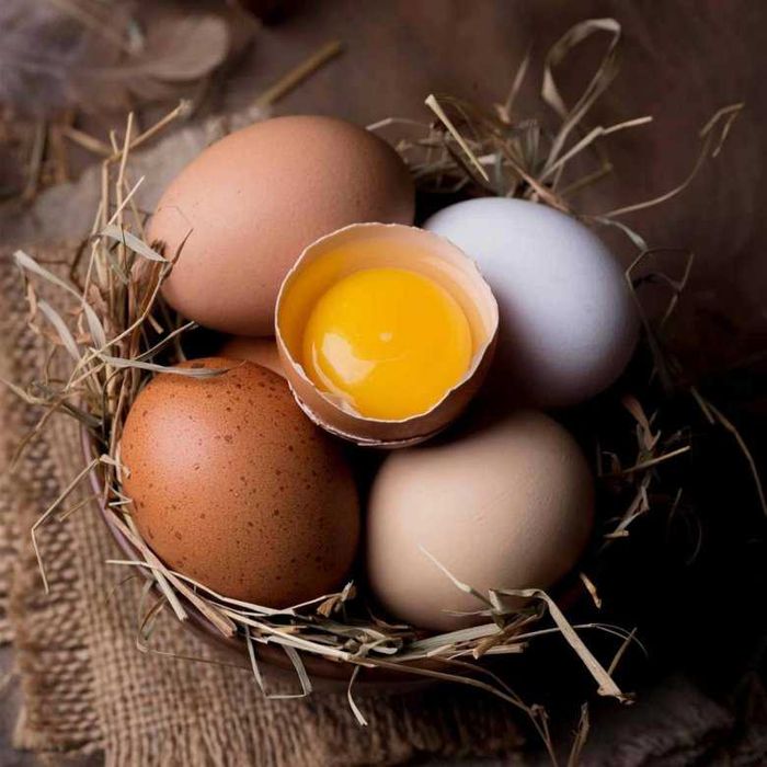 Продаю куриные яйца