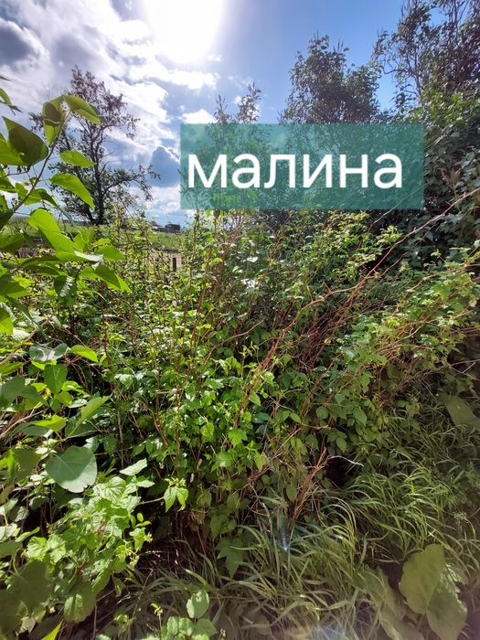 Продам дом рядом с городом