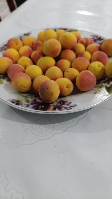 Сары өрік сатылады