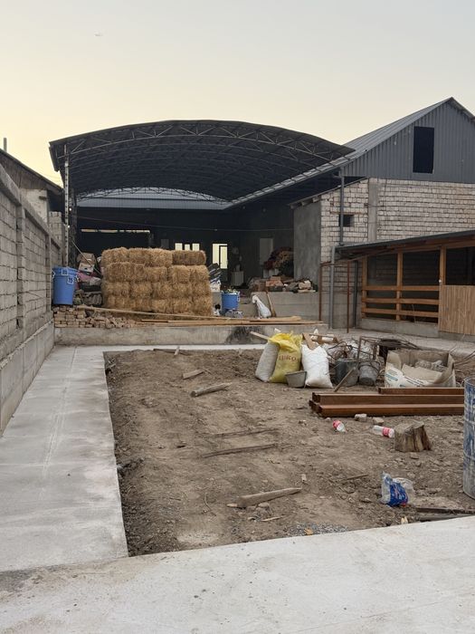 Maktab oldi arenda birinchi oy arenda puli tekin