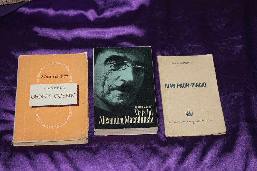 lot 85 carti critica istorie literara, studii literare memorialistica