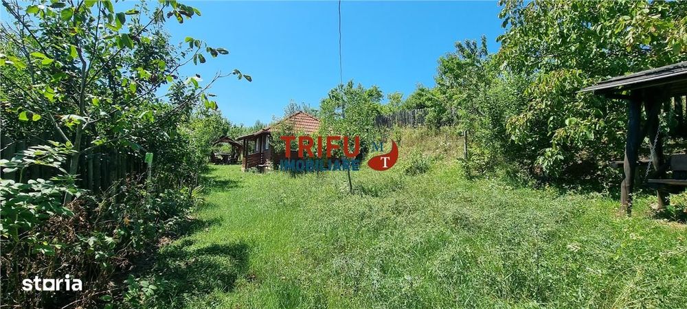 Cabana de vanzare zona Sard cu teren intravilan de 1950 mp