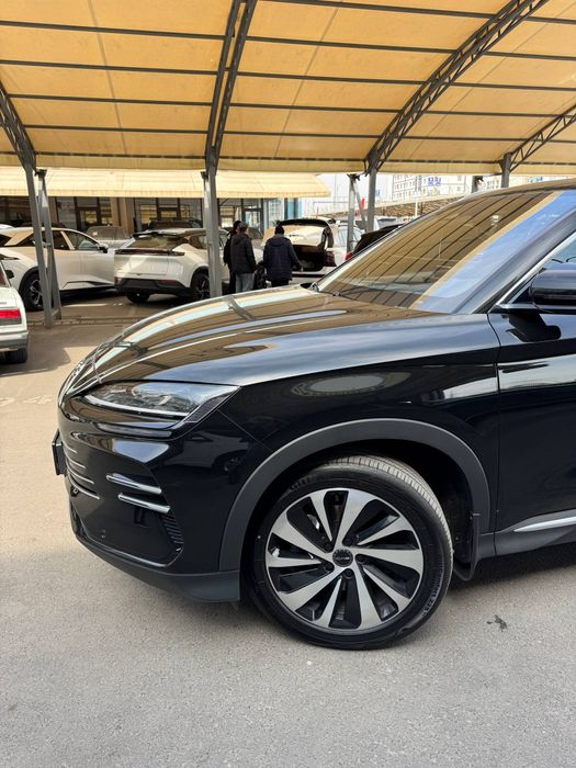 Byd chempion gibrid 2025 probegli