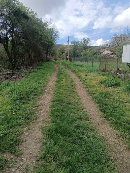 УПИ- Кондофрей област Радомир