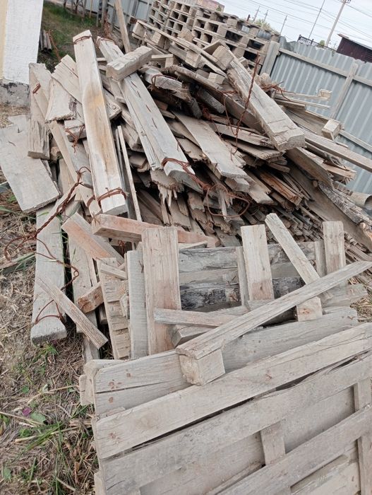 Тегін ағаштар бир Газел