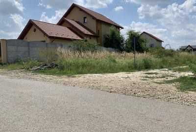 Teren Mimozei, Domnesti