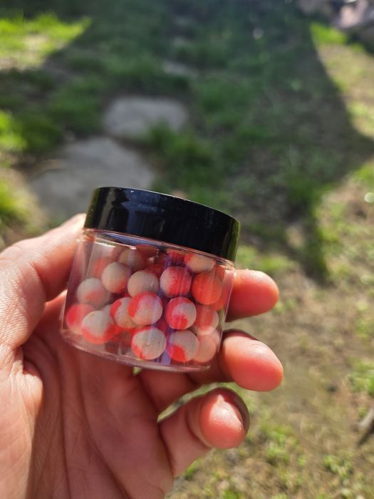 Pop-up/boiles bicolor