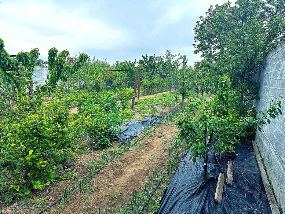 Proprietar – teren intravilan 1.522 mp, 2 intrări utilități gard beton sere lac – zona CAP