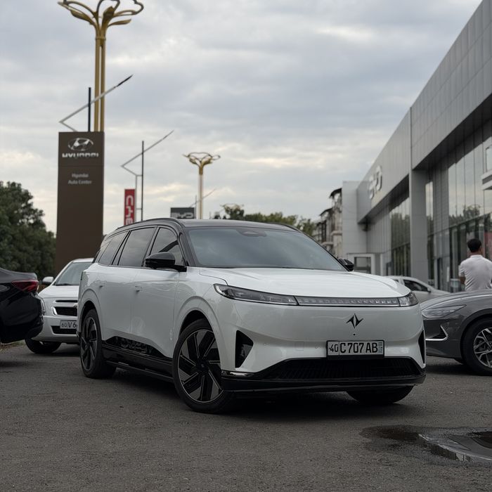 Dongfeng 008 gibrid