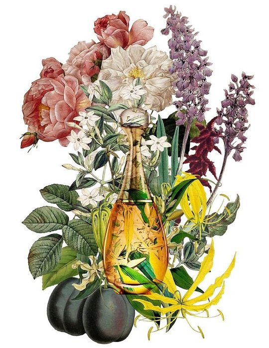 J'adore - DI0R EDP 100 ml - DI0R